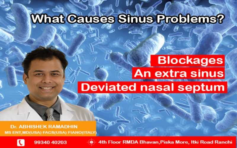 What Causes Sinus Problems?