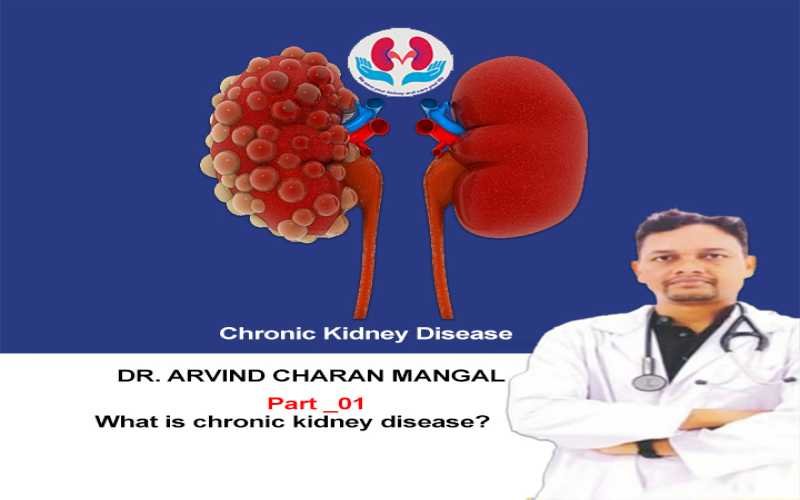 What is chronic kidney disease? (Overviews_ Part_01_A)