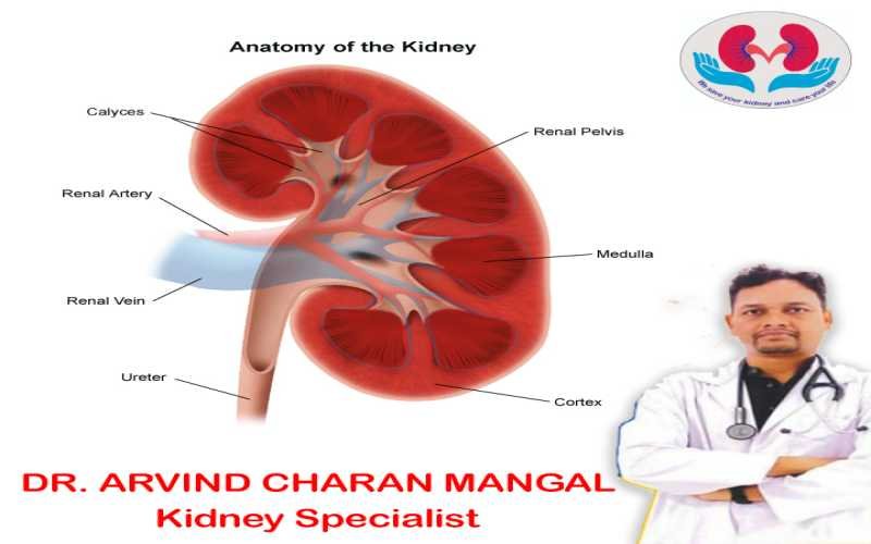 What is kidney disease?