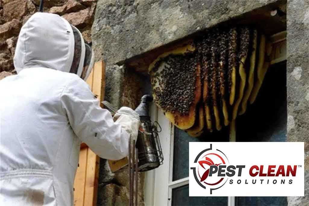 Pest Control For Honey Bees