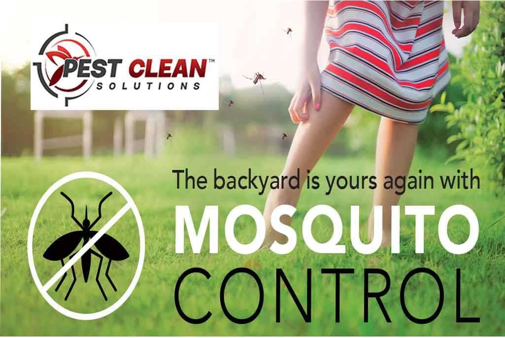 Pest Control  for Mosquitoes