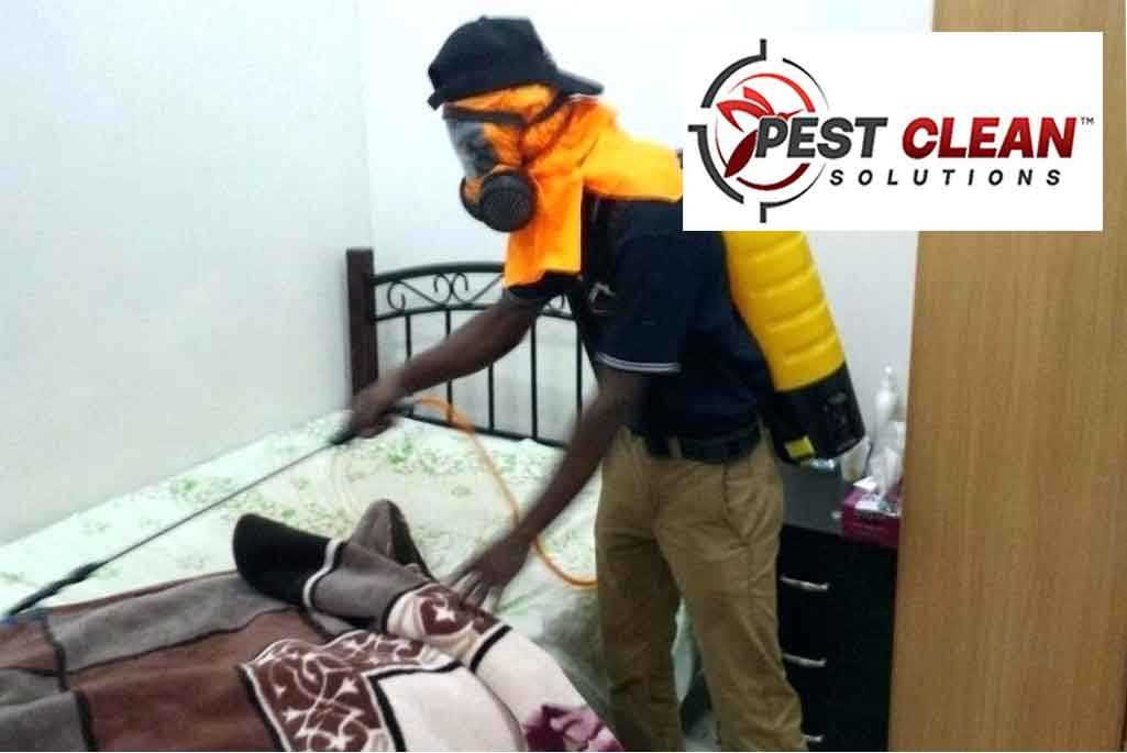 Pest Control for Bed Bugs