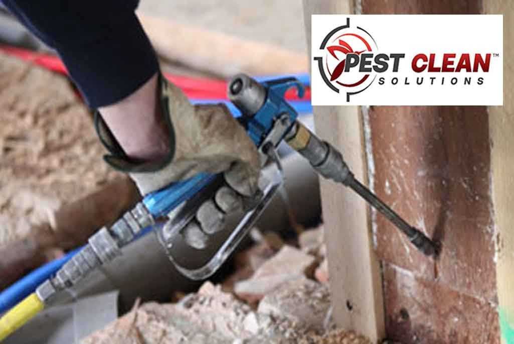 Pest Control for Termites