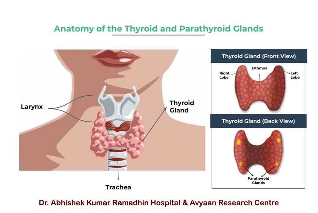Thyroid Treatment