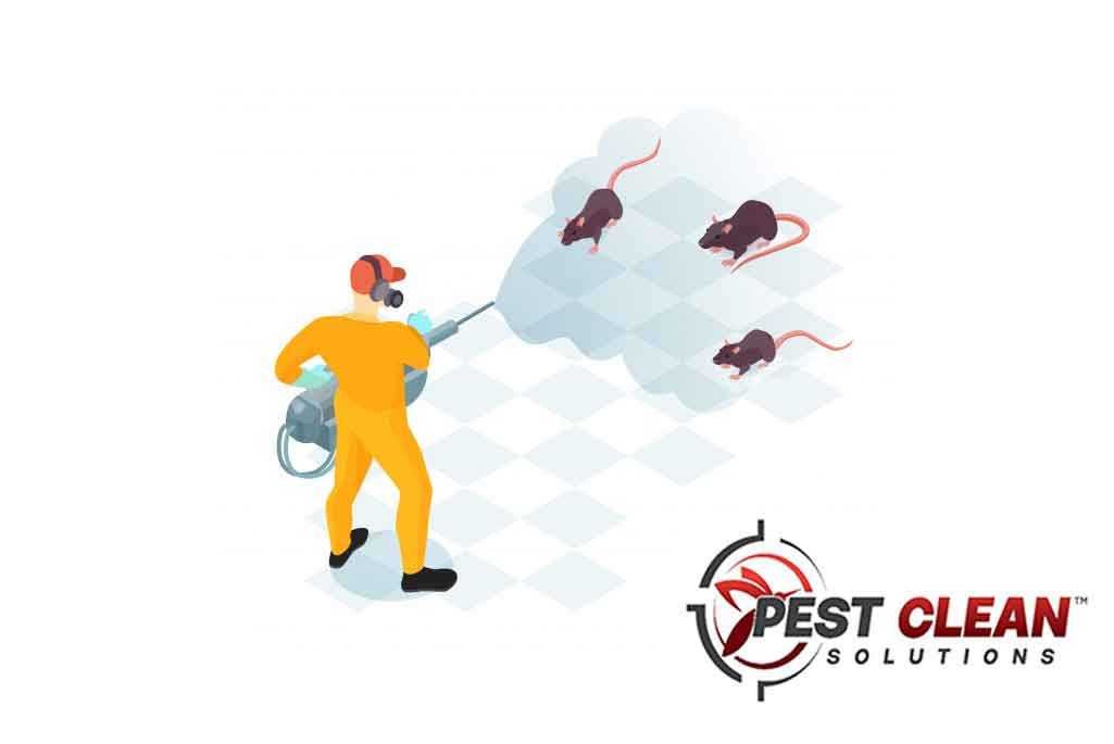 Pest Control  for Rodents