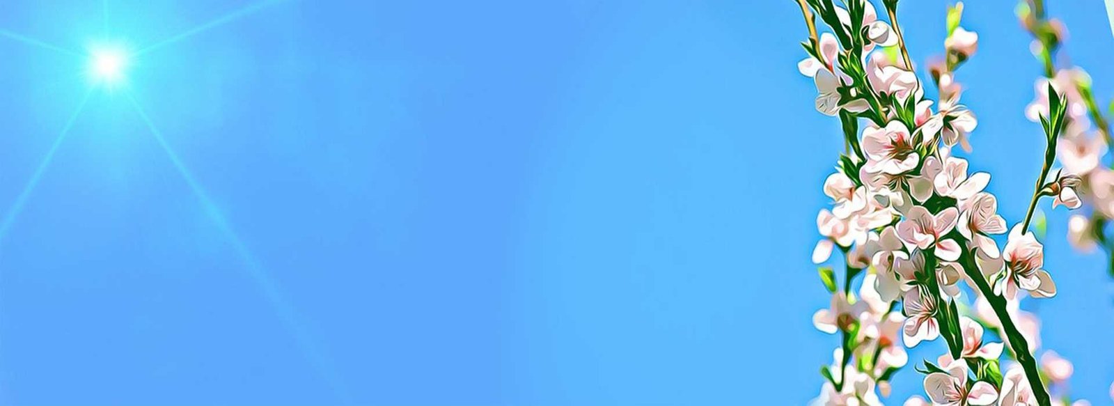 Suraj Kumar Flower Decoration